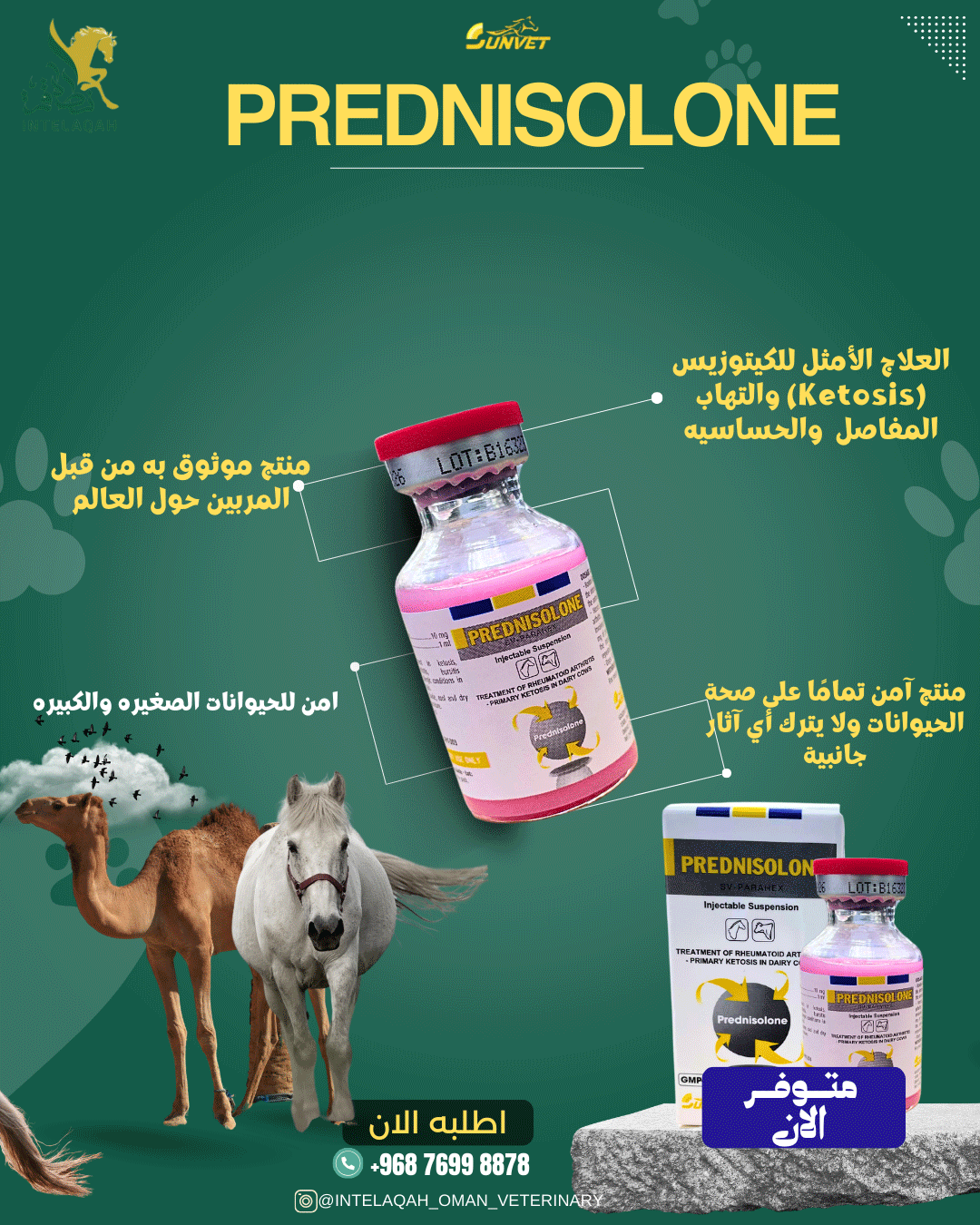 عروض-ادويه-وعلاجات-بيطريه-من-متجر-انطلاقة-البيطري